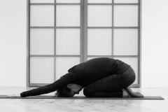 Shell Stretch 1